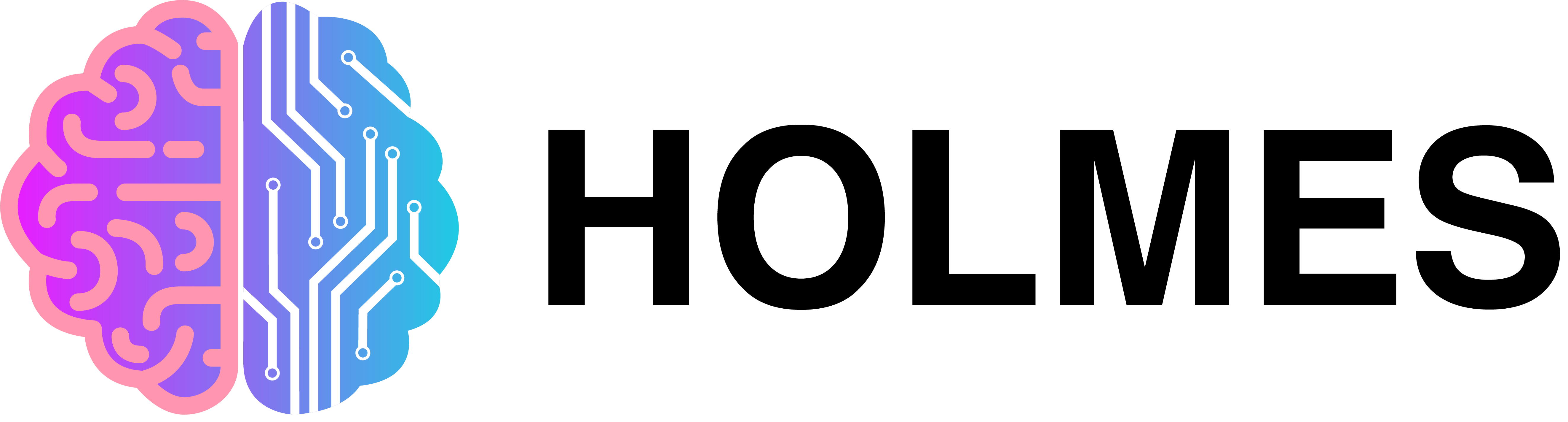 Holmes Logo